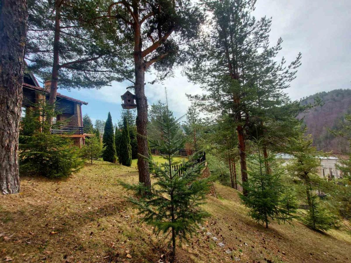 Aurora Resort & Spa เบโรโว ภายนอก รูปภาพ